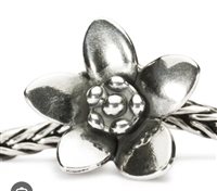 Charm Trollbeads in Plata GEMMA FIORITA